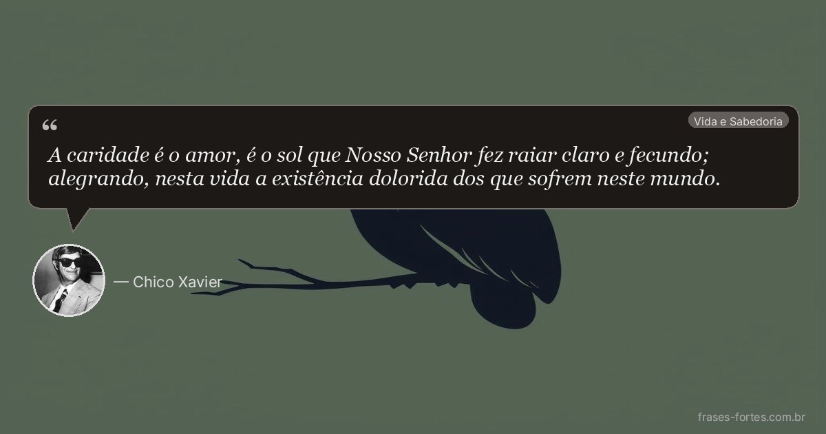 Frase de Chico Xavier