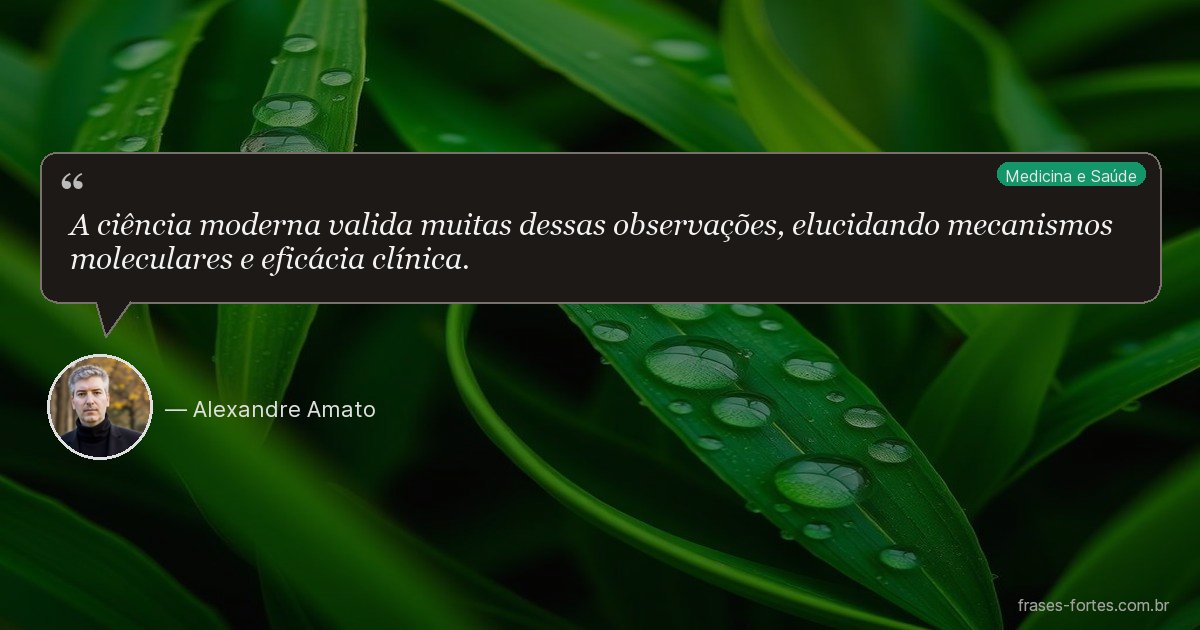 Frase de Alexandre Amato