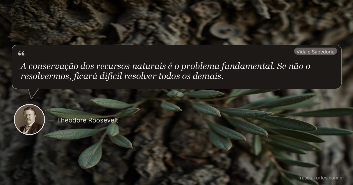 Frase de Theodore Roosevelt