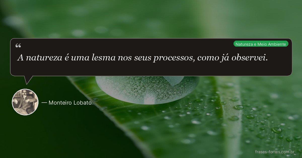 Frase de Monteiro Lobato