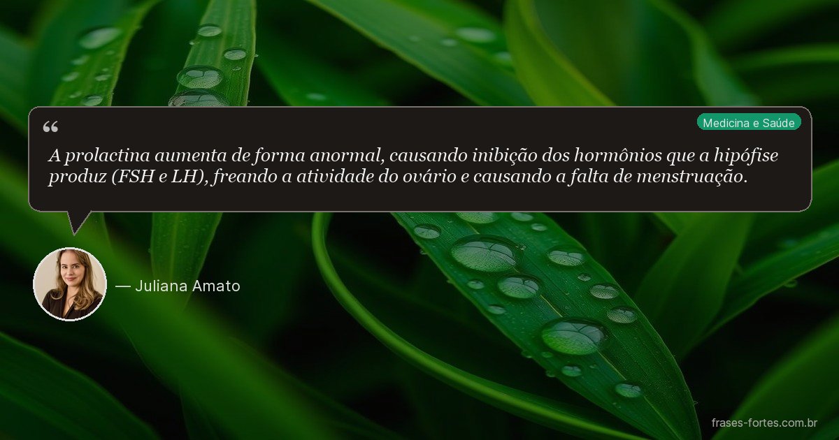 Frase de Juliana Amato