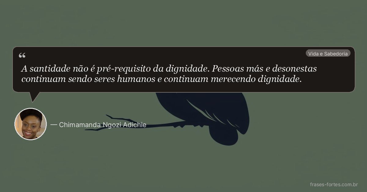 Frase de Chimamanda Ngozi Adichie