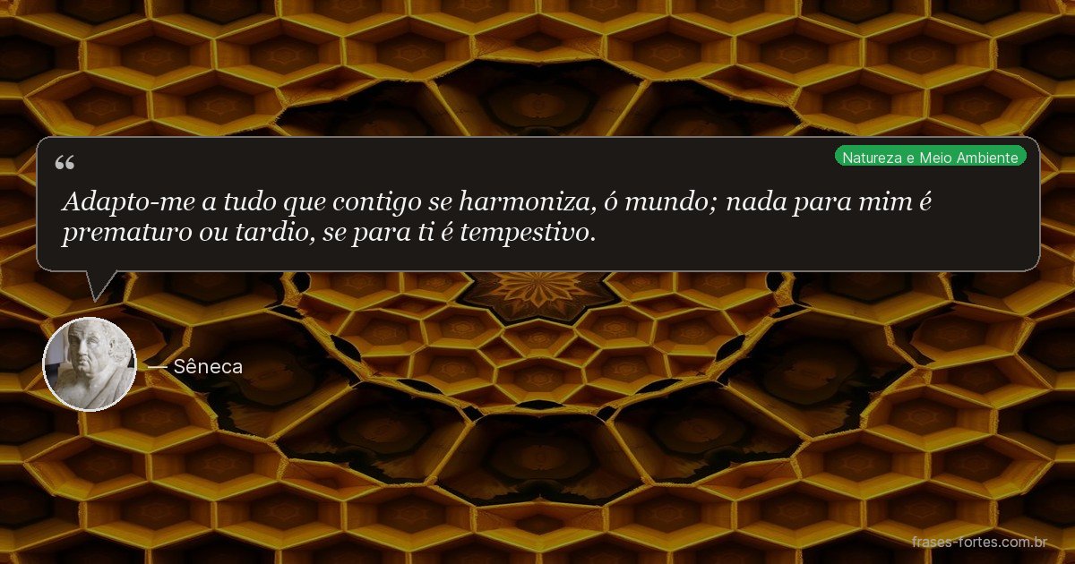 Frase de Marco Aurélio