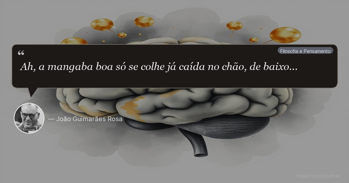 Frase de João Guimarães Rosa