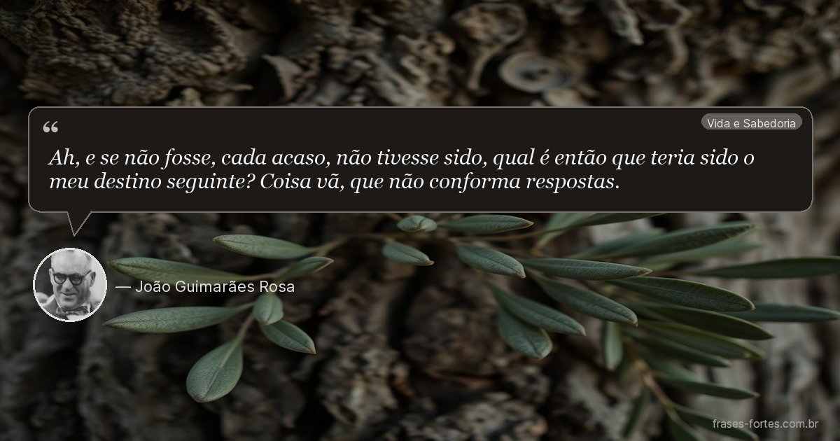 Frase de João Guimarães Rosa