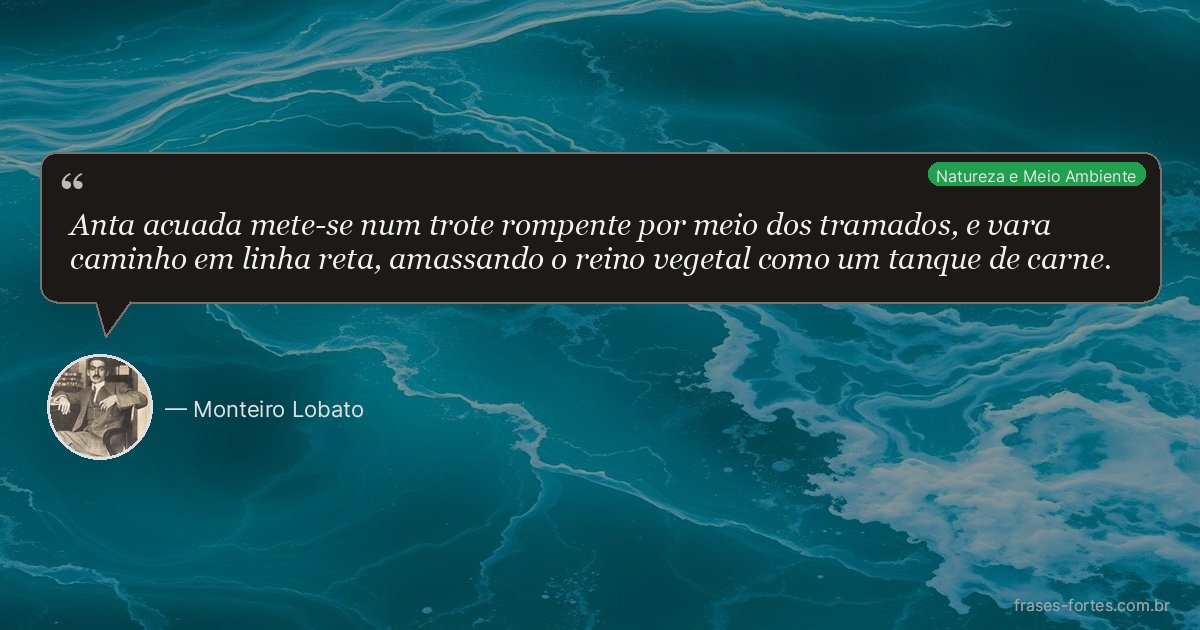 Frase de Monteiro Lobato