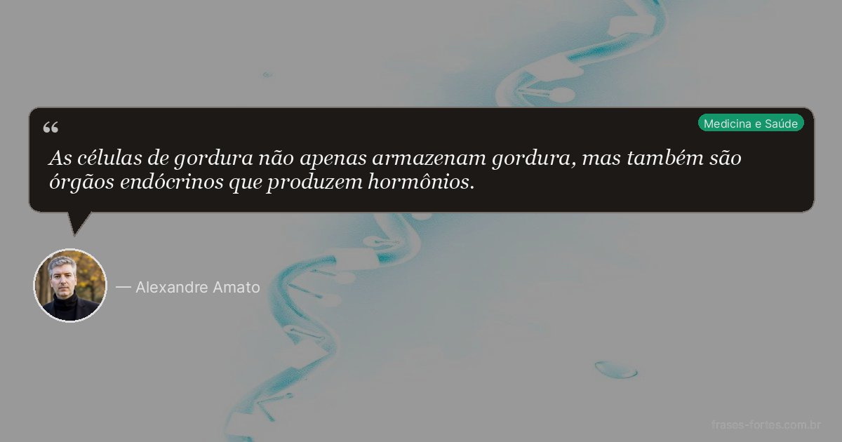 Frase de Alexandre Amato