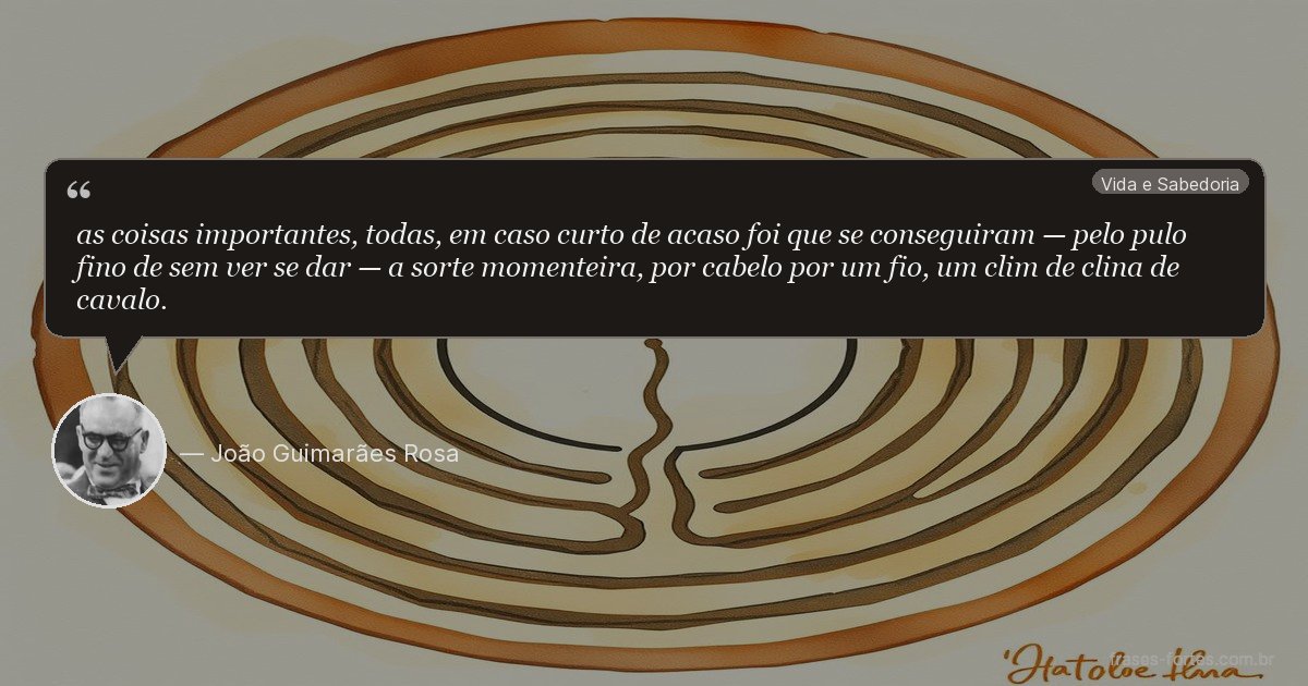 Frase de João Guimarães Rosa