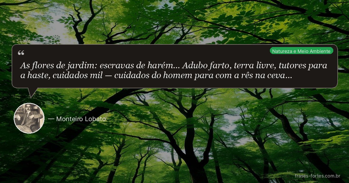 Frase de Monteiro Lobato