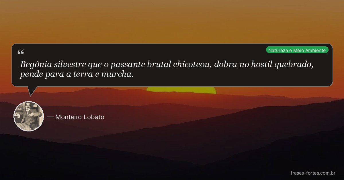 Frase de Monteiro Lobato