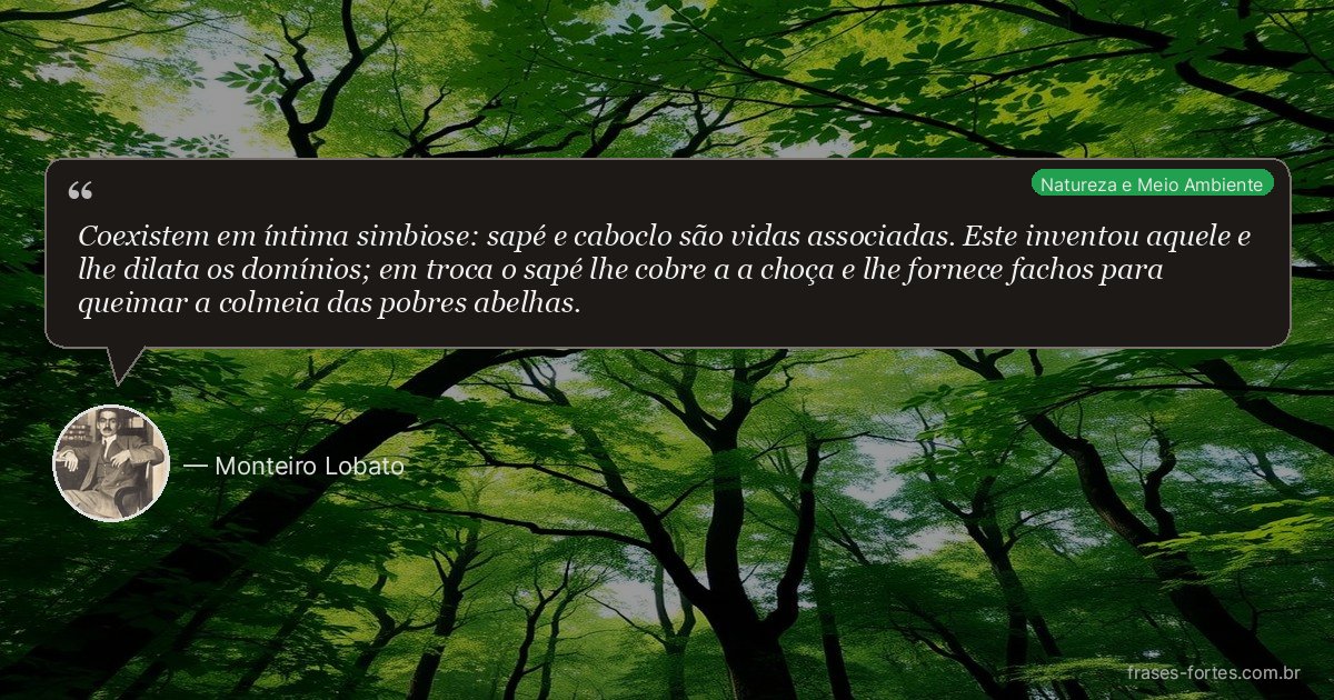 Frase de Monteiro Lobato