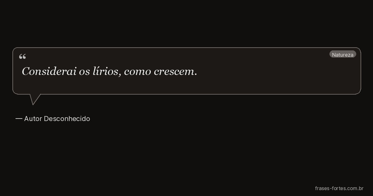 Frase de Autor Desconhecido