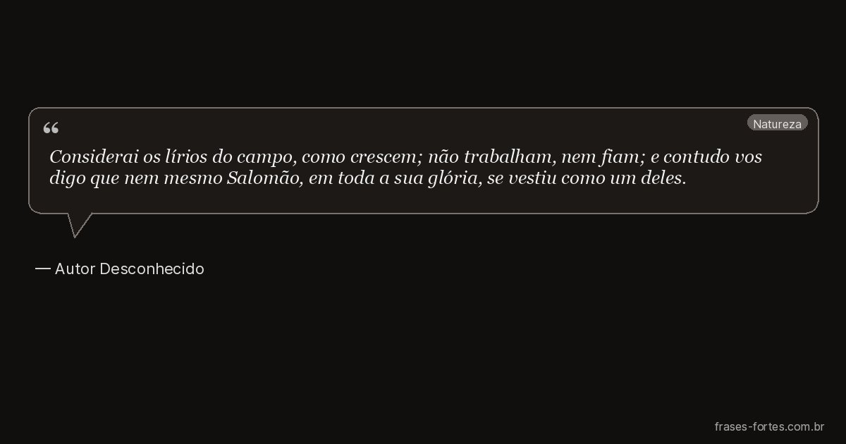 Frase de Autor Desconhecido