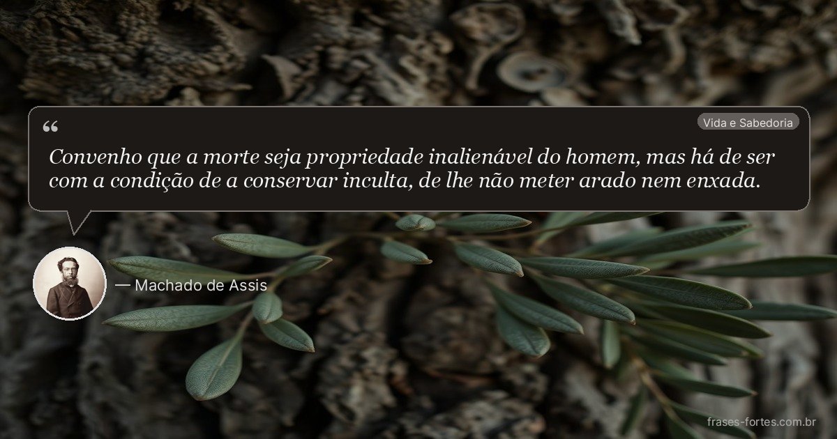 Frase de Machado de Assis