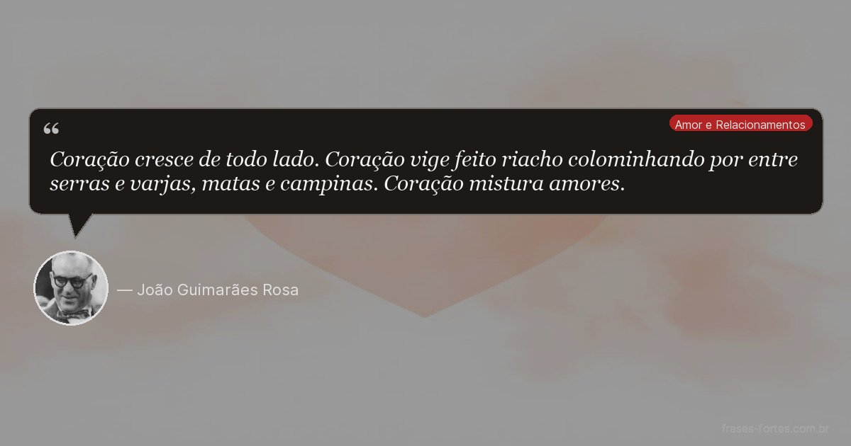 Frase de João Guimarães Rosa