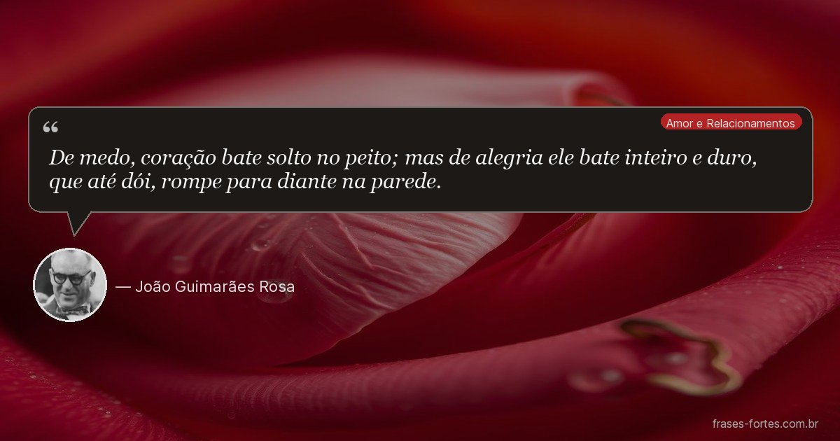 Frase de João Guimarães Rosa