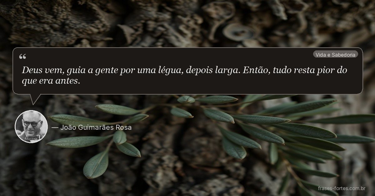 Frase de João Guimarães Rosa