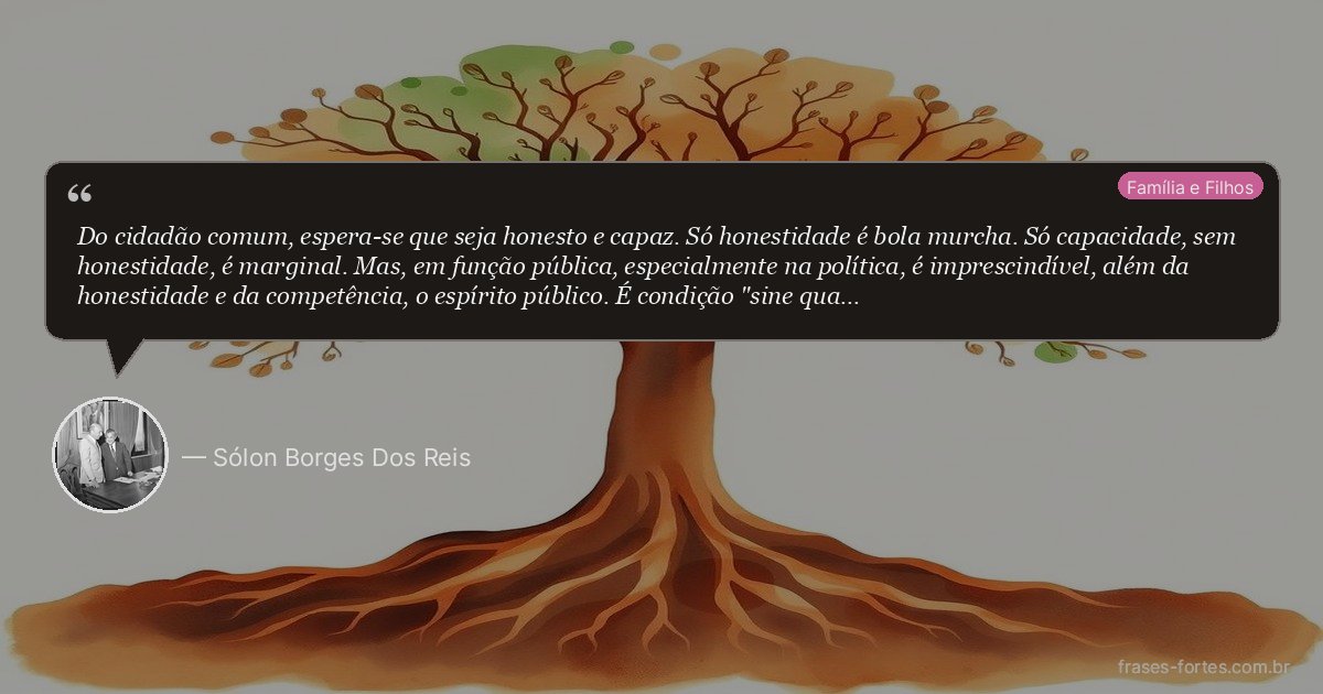 Frase de Sólon Borges Dos Reis