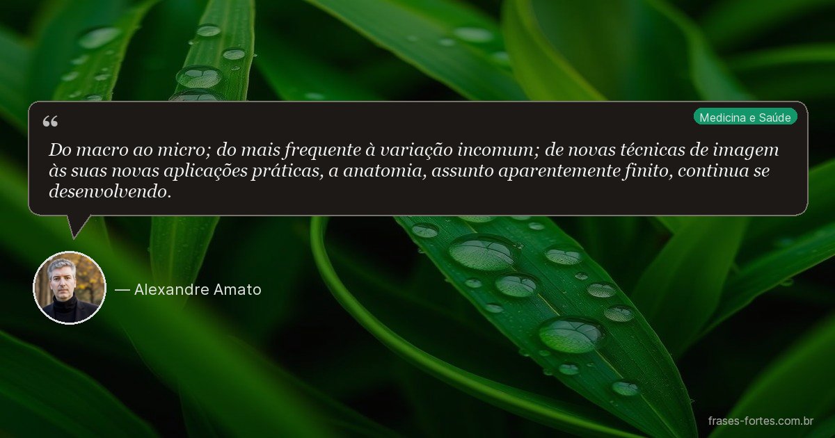 Frase de Alexandre Amato