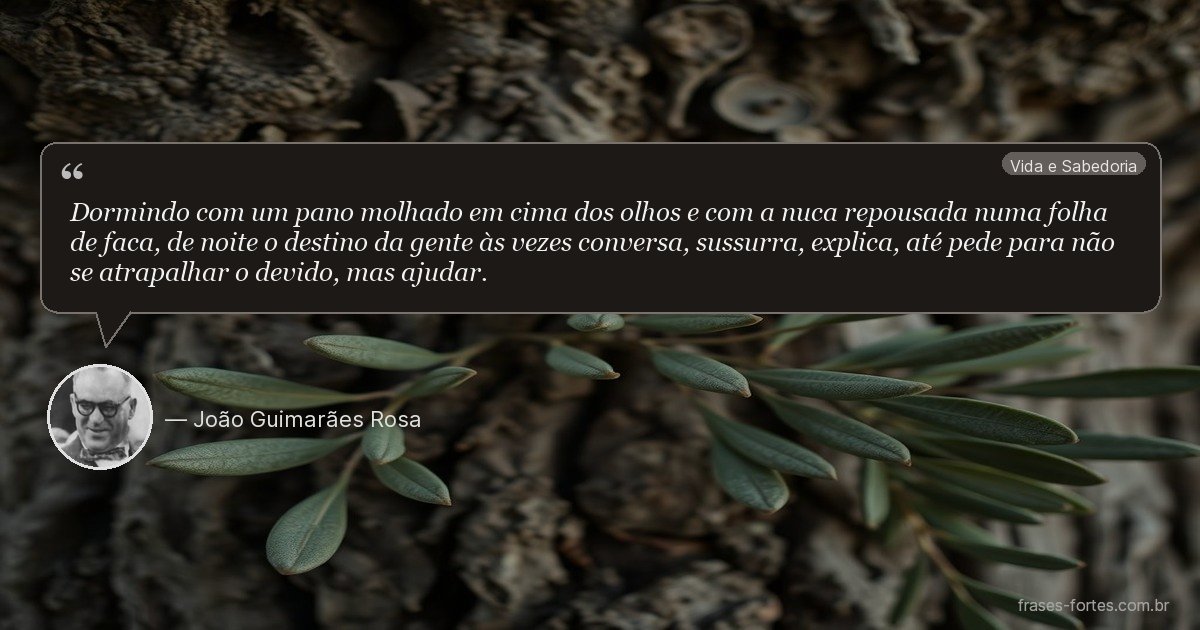 Frase de João Guimarães Rosa