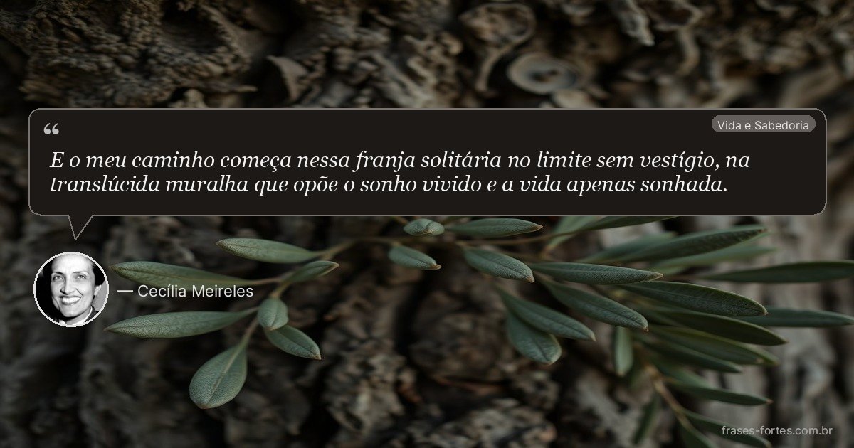 Frase de Cecília Meireles