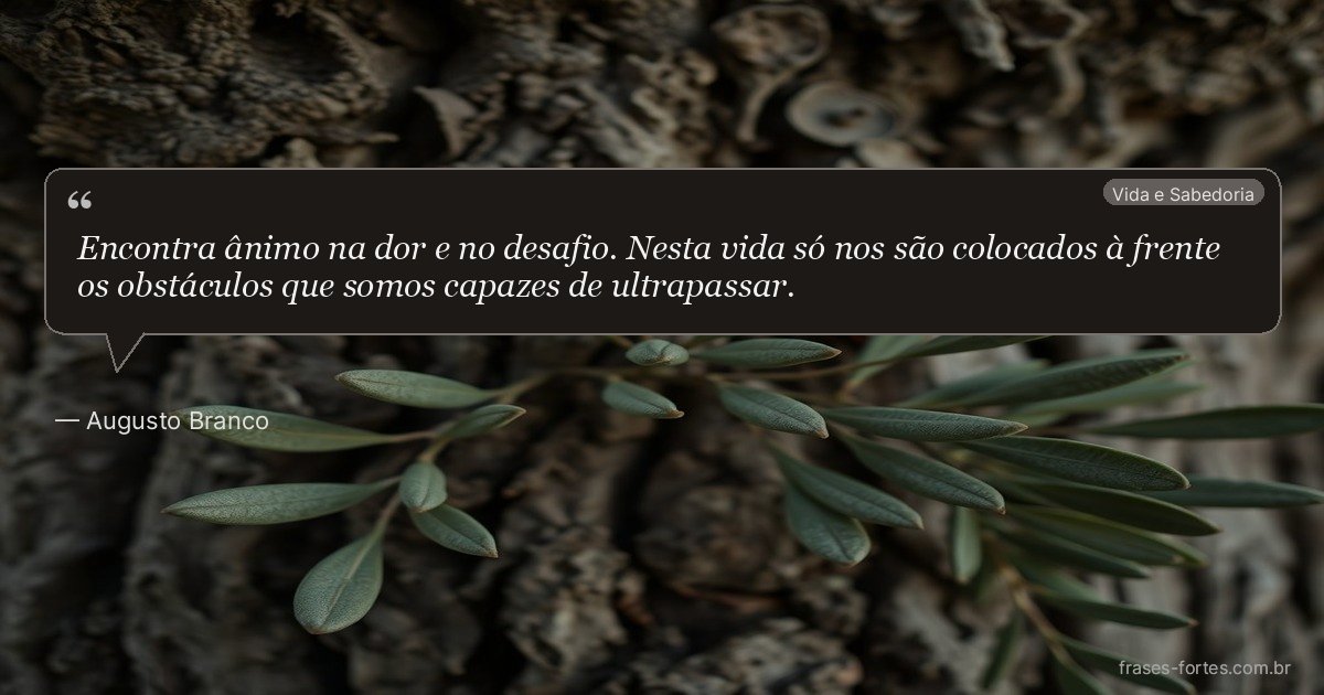 Frase de Augusto Branco