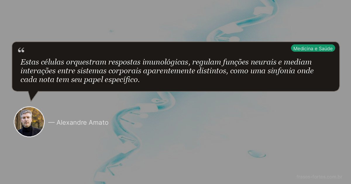 Frase de Alexandre Amato