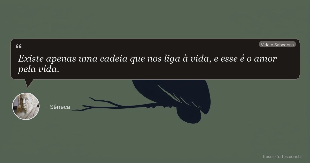 Frase de Sêneca