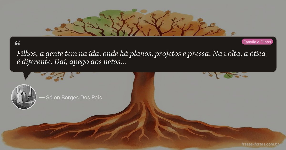 Frase de Sólon Borges Dos Reis