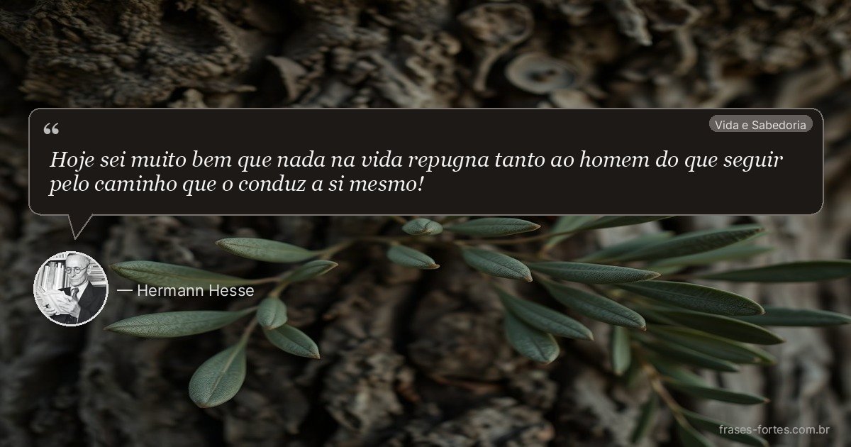 Frase de Hermann Hesse