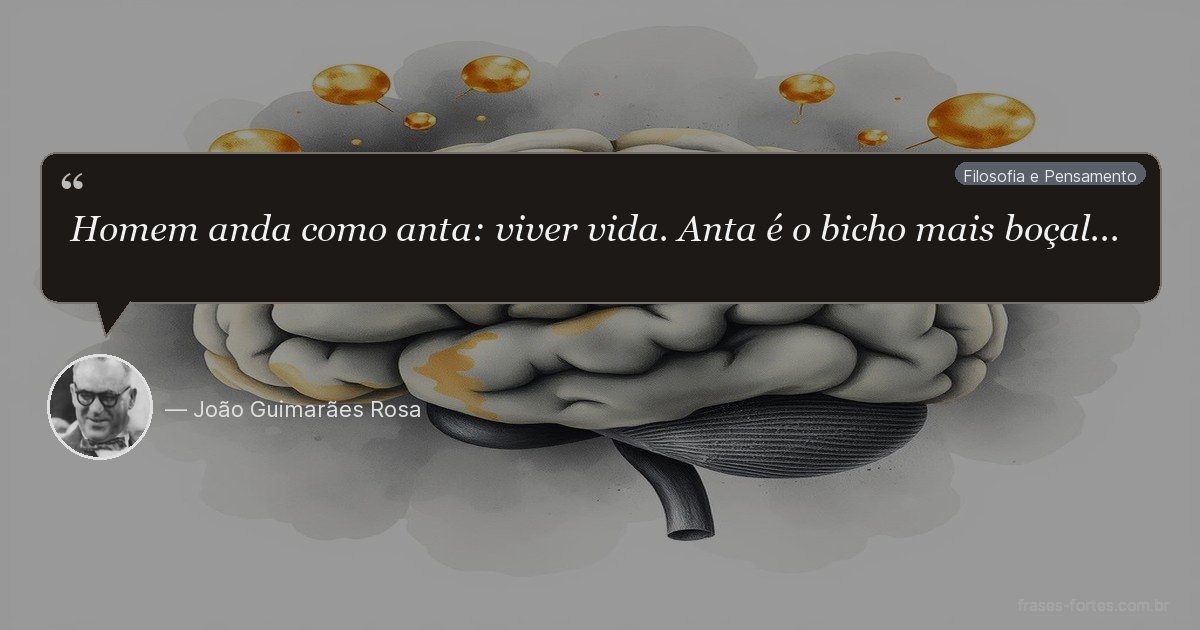 Frase de João Guimarães Rosa