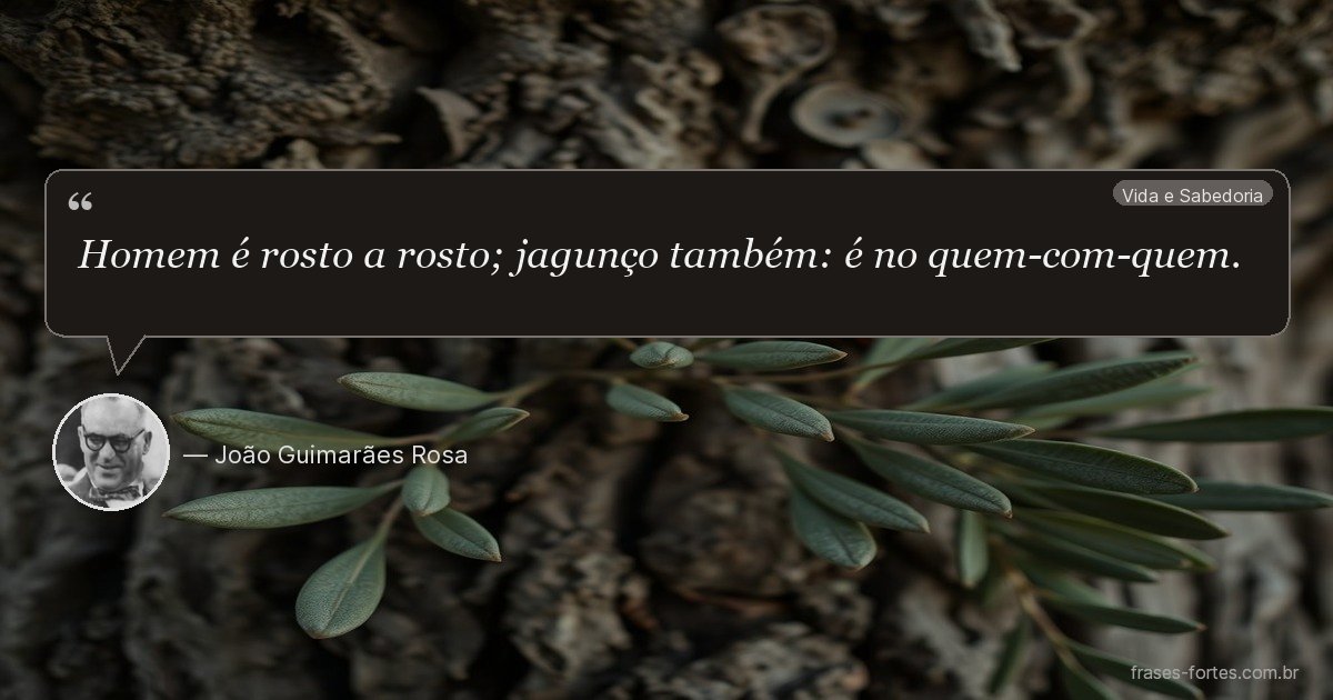 Frase de João Guimarães Rosa