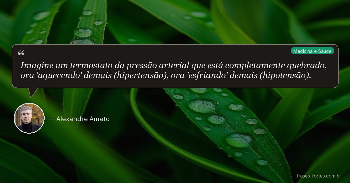 Frase de Alexandre Amato