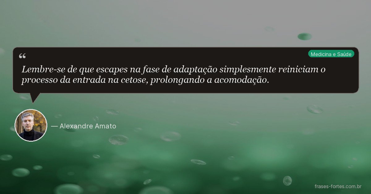 Frase de Alexandre Amato