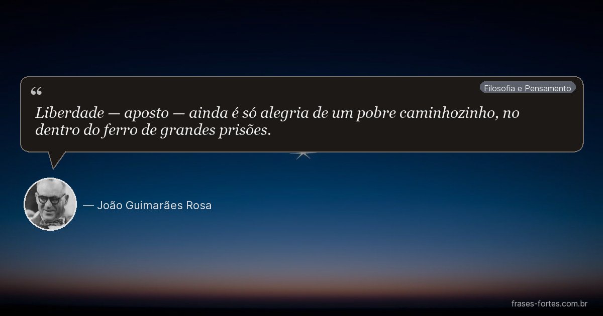 Frase de João Guimarães Rosa