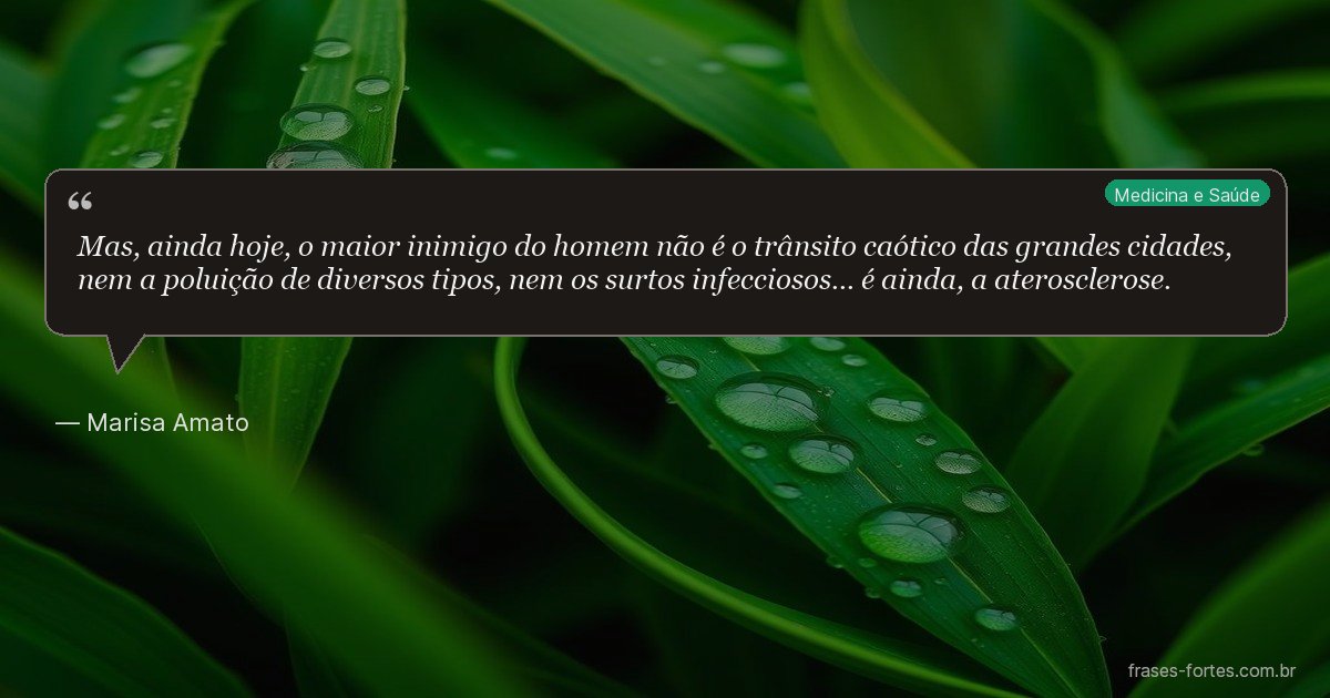 Frase de Marisa Amato