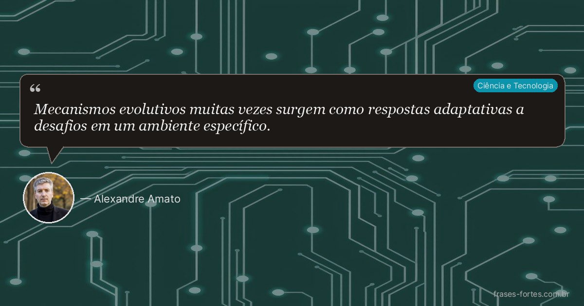 Frase de Alexandre Amato