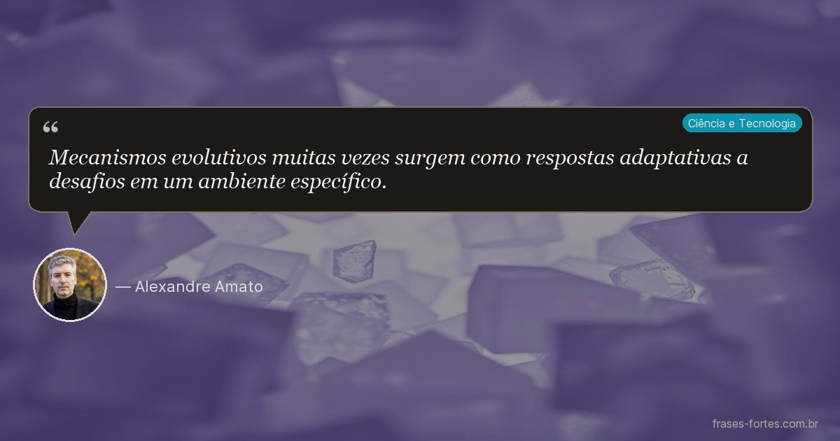 Frase de Alexandre Amato