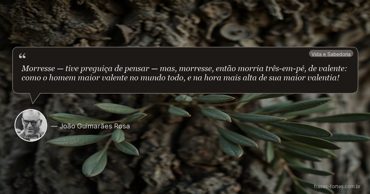 Frase de João Guimarães Rosa