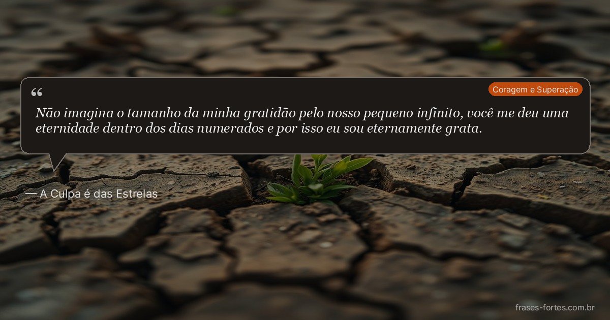 Frase de A Culpa é das Estrelas