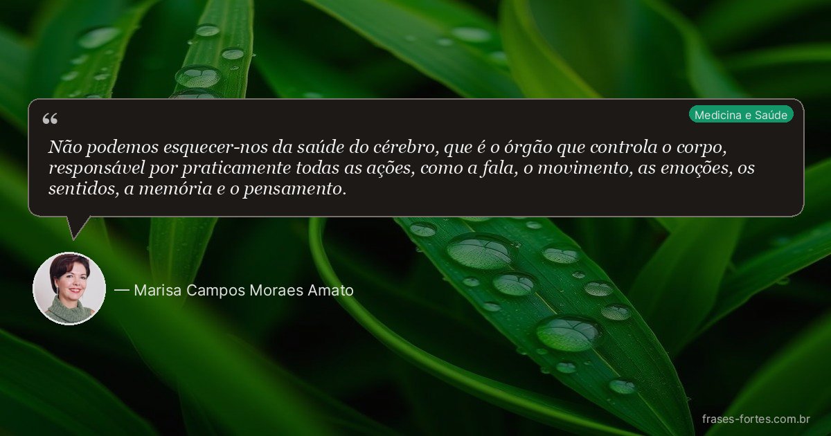 Frase de Marisa Campos Moraes Amato