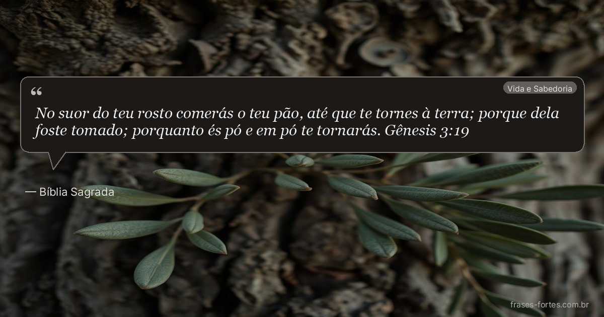 Frase de Bíblia Sagrada