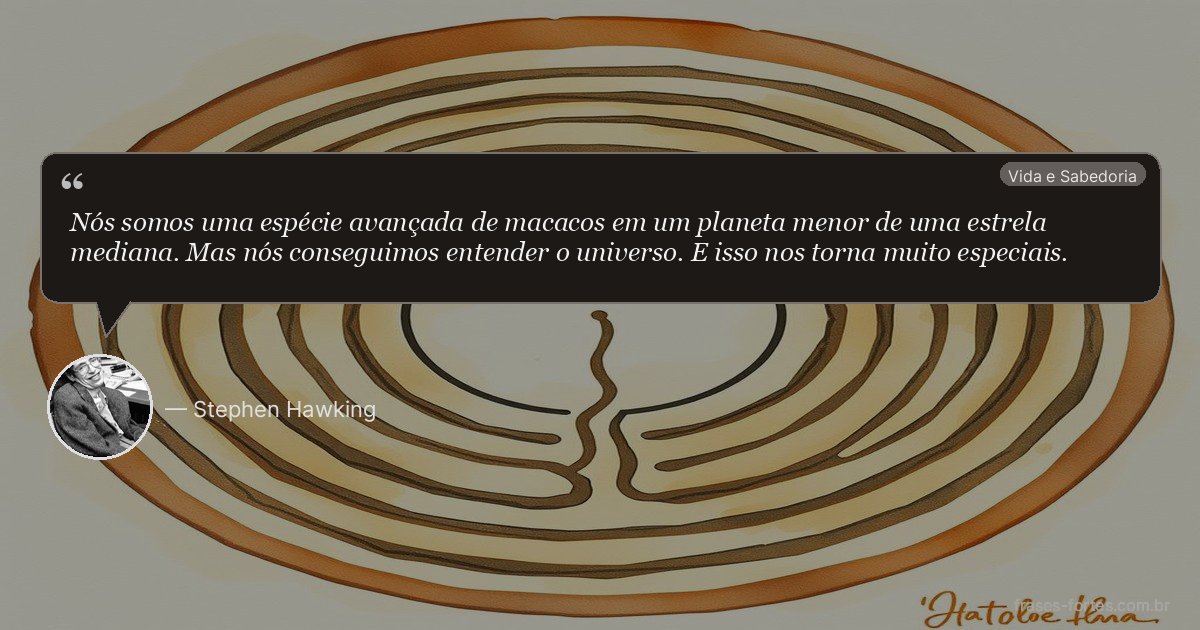 Frase de Stephen Hawking