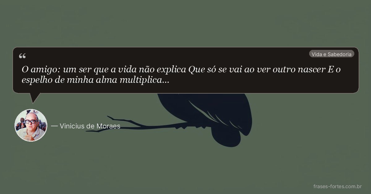 Frase de Vinicius de Moraes
