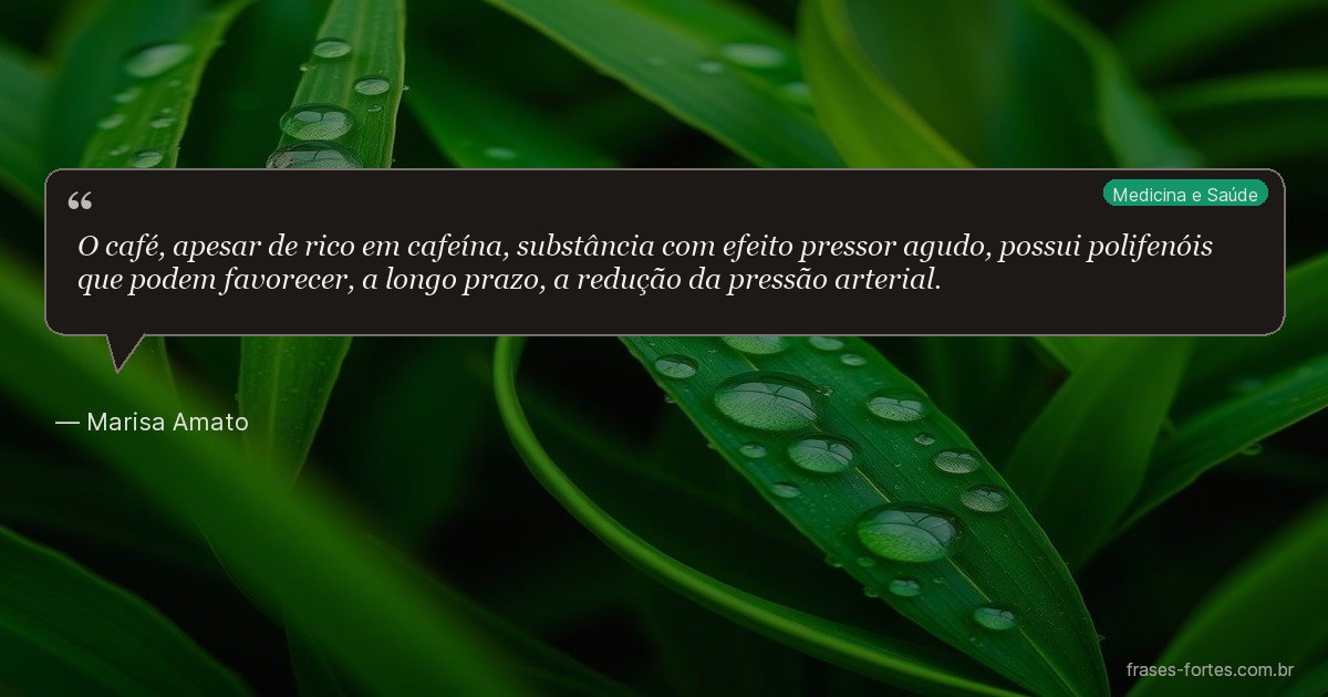 Frase de Marisa Amato