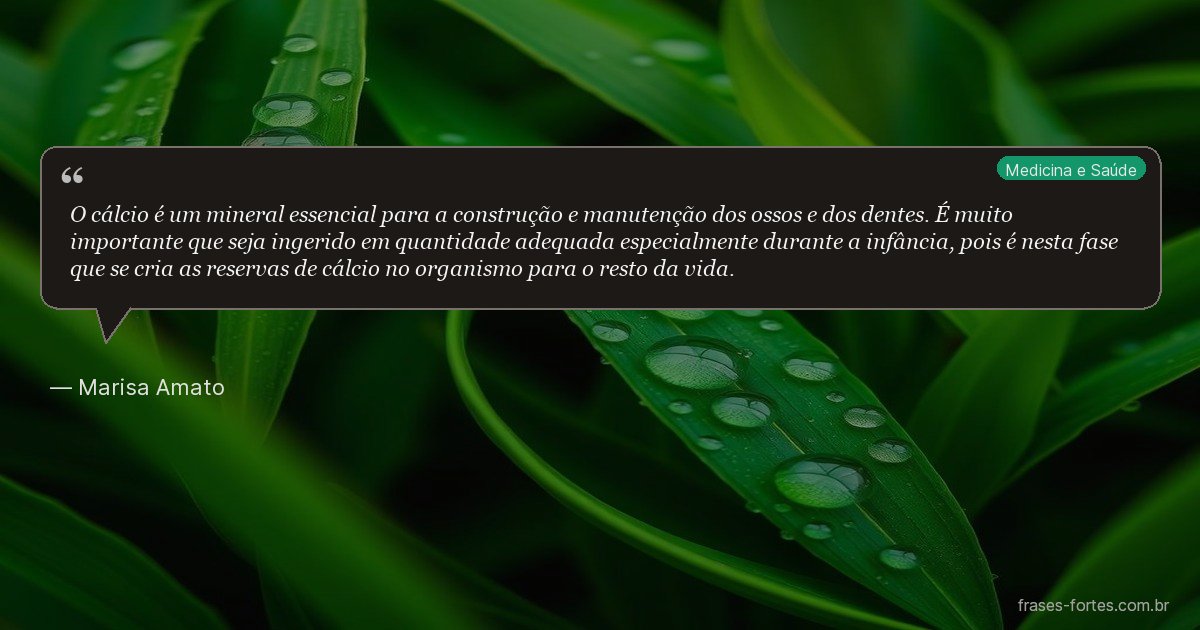 Frase de Marisa Amato