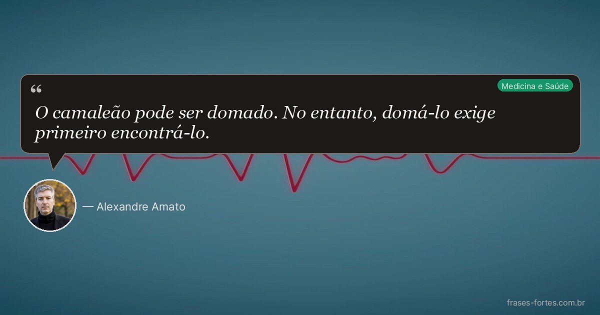 Frase de Alexandre Amato