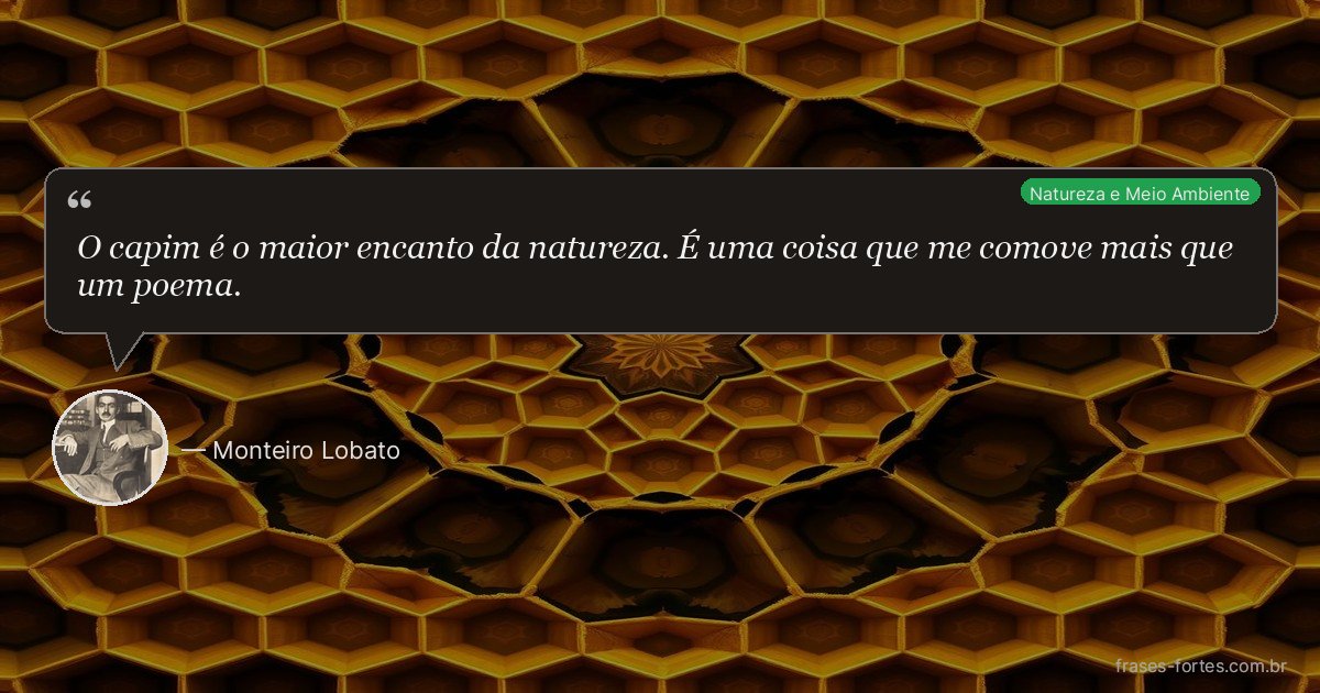 Frase de Monteiro Lobato