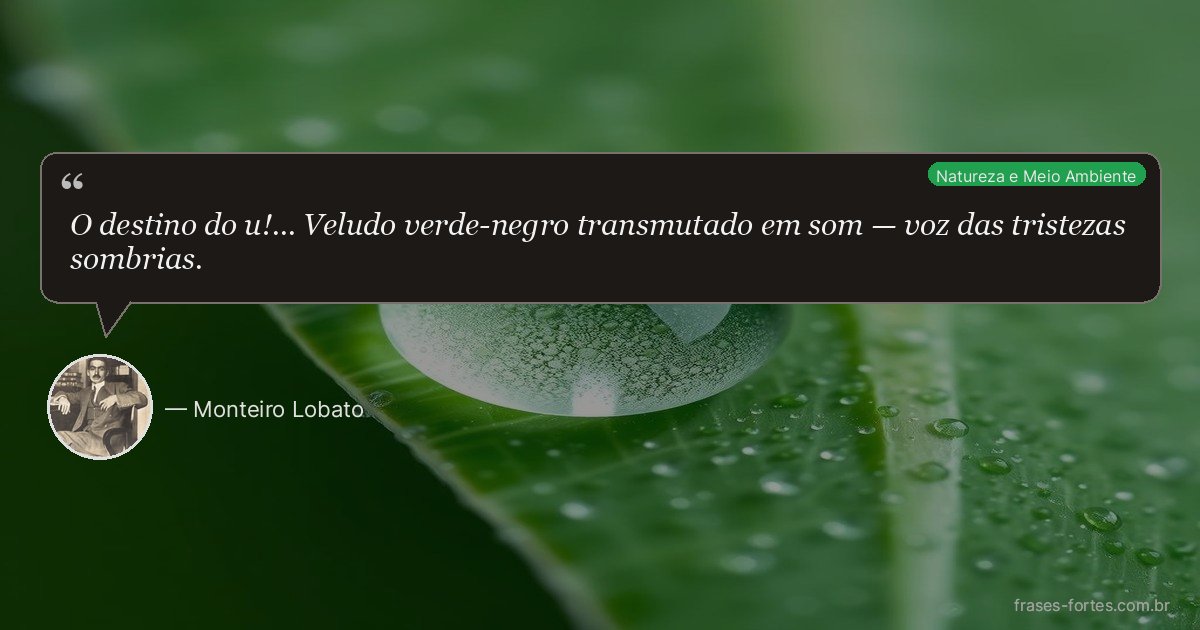 Frase de Monteiro Lobato