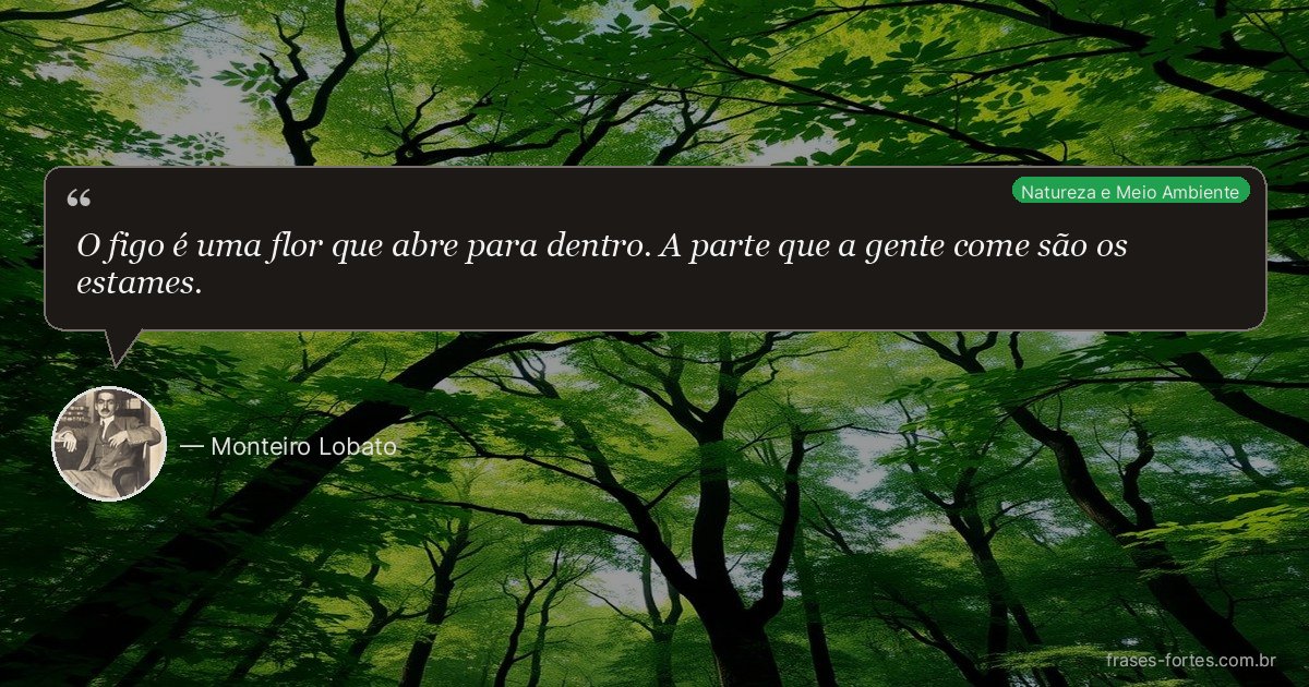 Frase de Monteiro Lobato